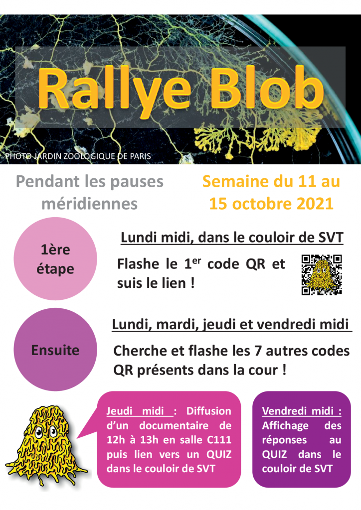 Poster "Rallye blob"
