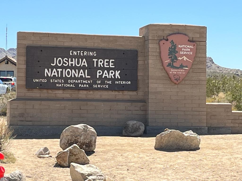 Joshua National Tree Park