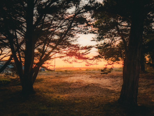 Soleil couchant à Oléron