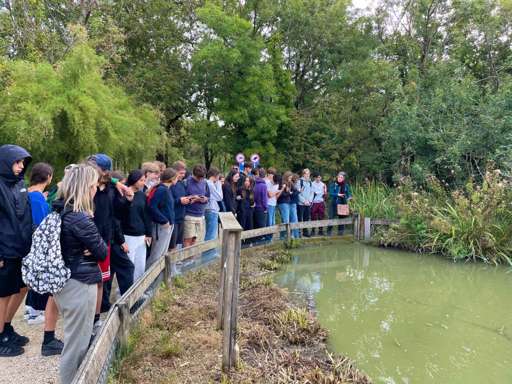 Cohésion à Oléron : le Maris aux oiseaux