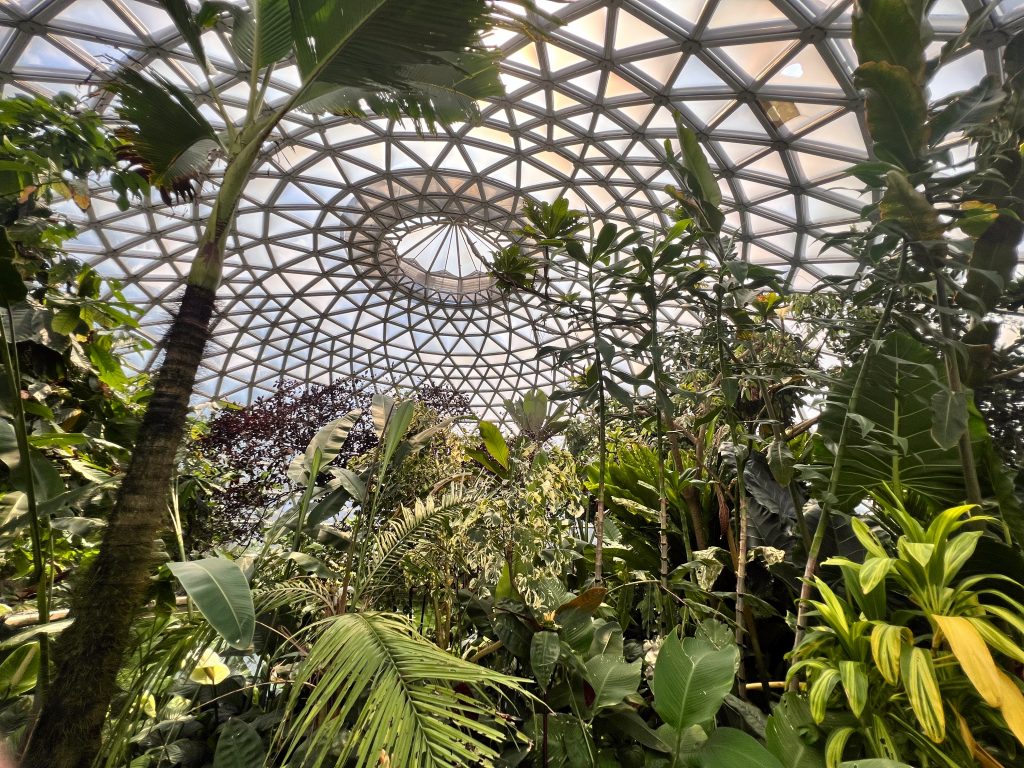 Brisbane's Botanical Gardens