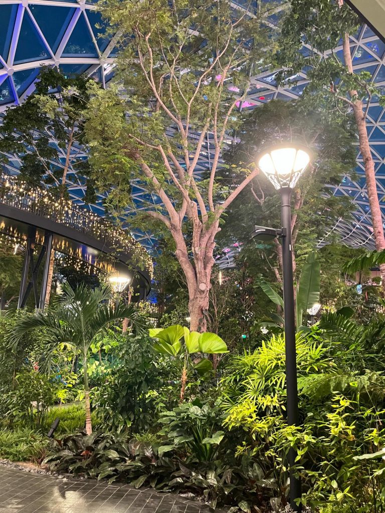 L'aéroport de Doha est remplit de verdure, c'est impressionnant.