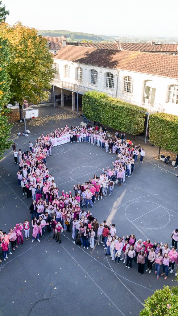 le ruban d'octobre rose  sur la cour de basket