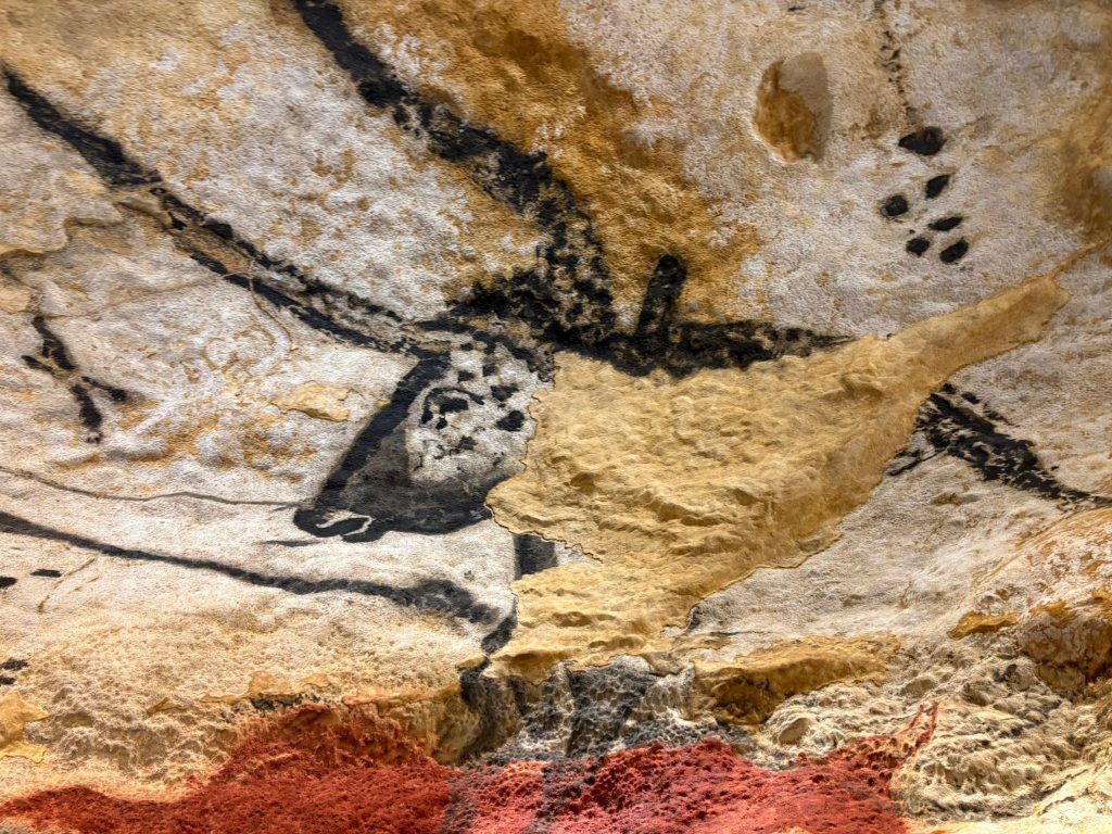 Sciences de la Vie et de la Terre : Grotte de Lascaux IV